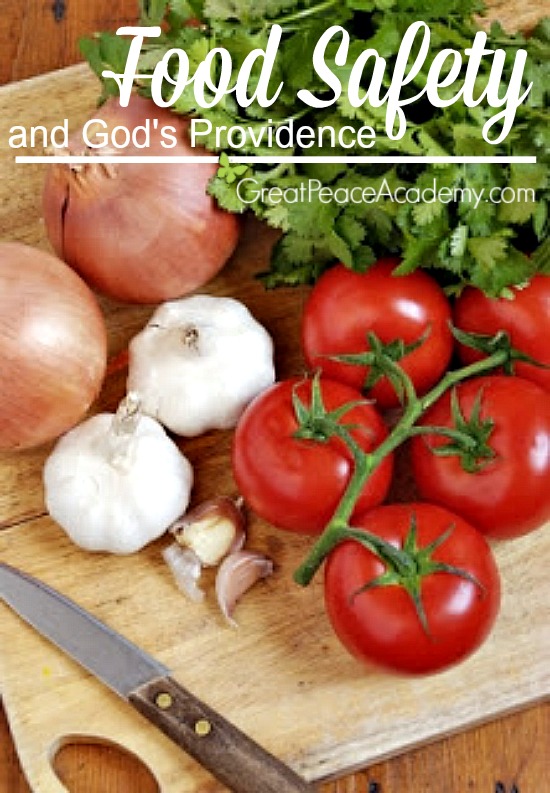 Food Safety and God's Providence, Plastic or Wood, Which is Safer? | Great Peace Academy