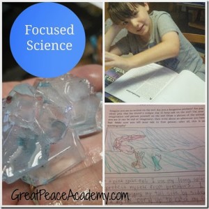 Focused Science