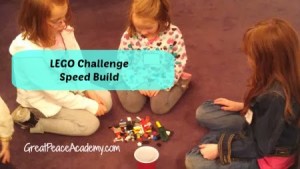 Speed Build with LEGO Challenge