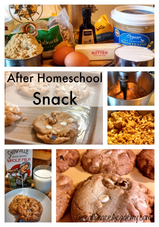 Not a Chocolate Cookie Recipe for an After School Snack | Great Peace Academy