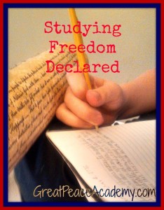 Studying American Freedom
