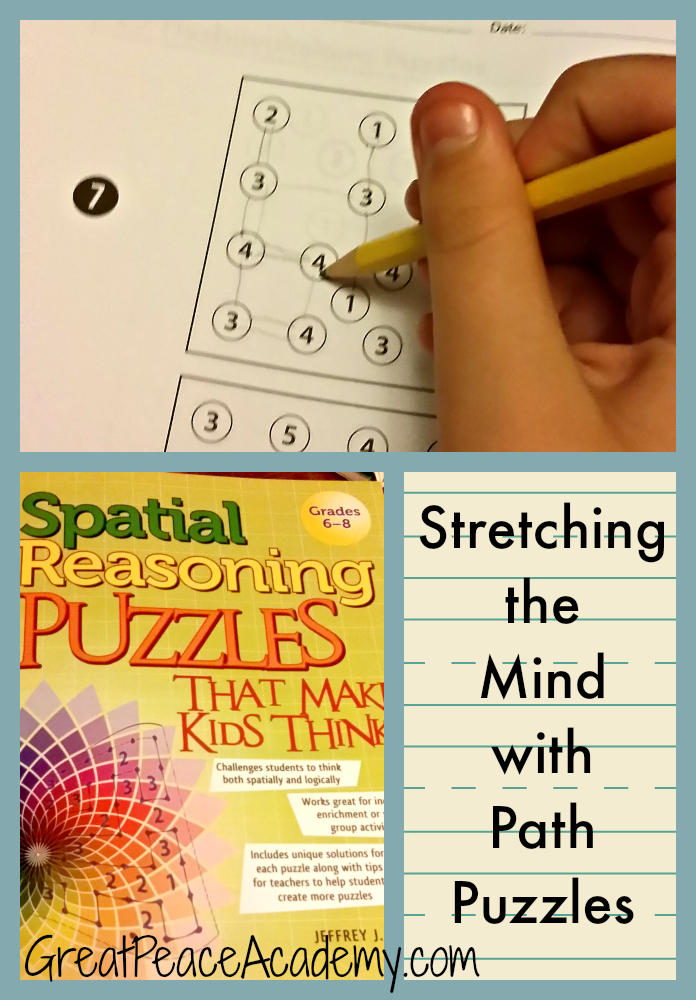 Spatial Reasoning Puzzles for Gifted Children | Great Peace Academy Path Puzzles for Gifted Children